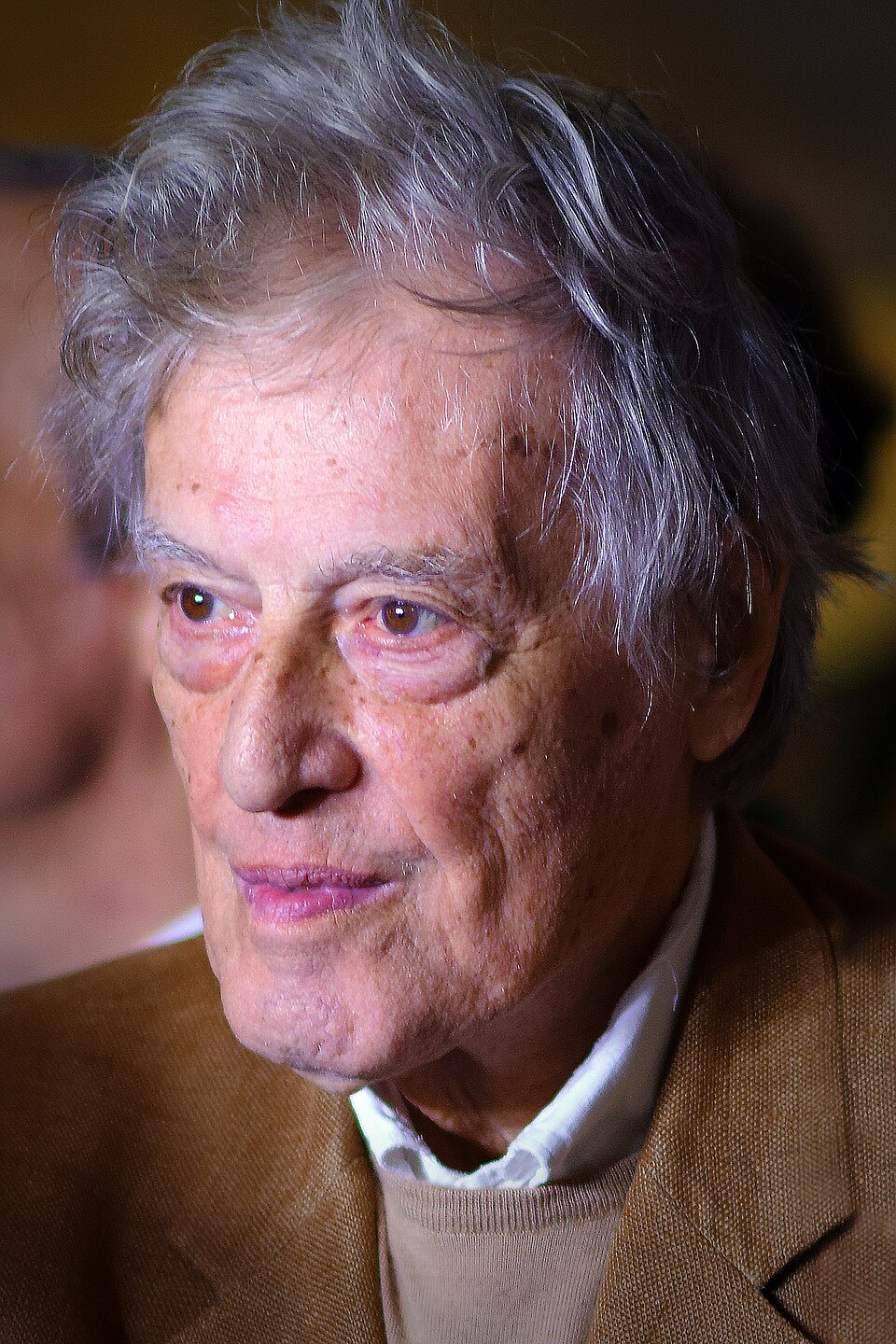 Portrait of Tom Stoppard